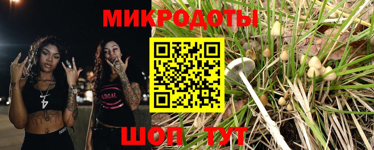 Шадринск  Псилоцибиновые грибы Psilocybe  Вход с VPN 